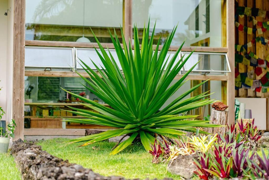 Jungle Haven Ocean Front Eco Villa On Fruit Farm Pahoa Exterior foto